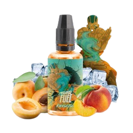 concentre-kansetsu-30ml-fighter-fuel-by-maison-fuel-5-pieces-removebg-preview