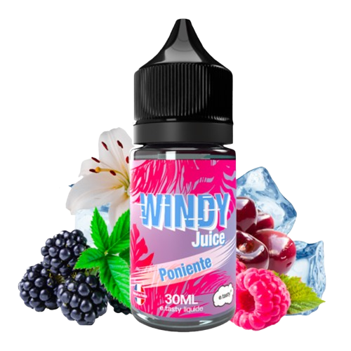 concentre-poniente-30ml-windy-juice-by-etasty-removebg-preview