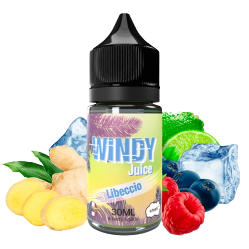 concentre-libeccio-30ml-windy-juice-by-etasty-removebg-preview